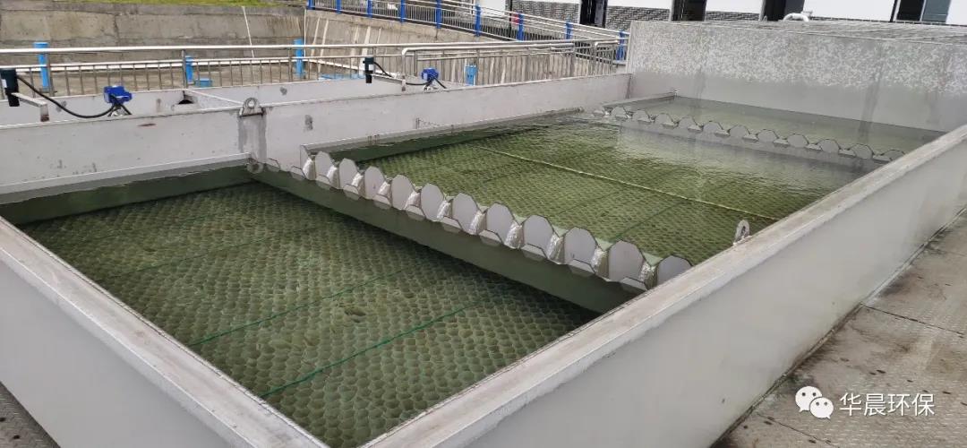 珍惜水、愛護水(圖5) 珍惜水、愛護水(圖5)